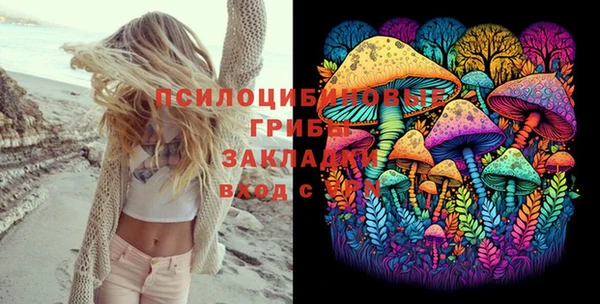 таблы Богданович