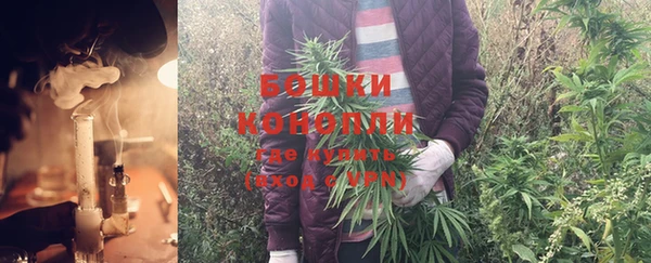 mix Богородск
