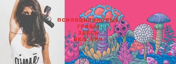 крисы Армянск