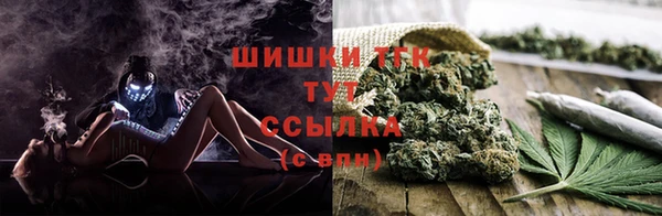 таблы Богданович