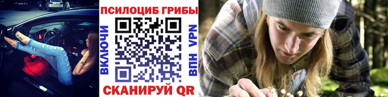 купить наркотики сайты  Вольск  нарко площадка состав  Псилоцибиновые грибы ЛСД 